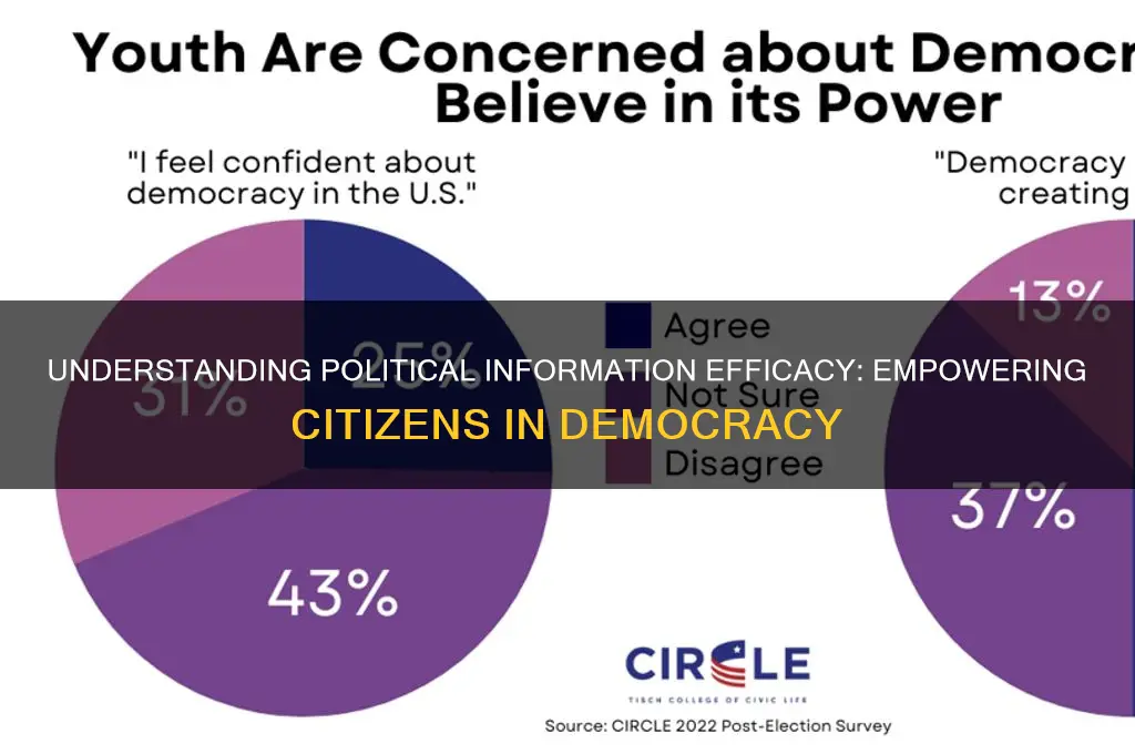 what is political information efficacy