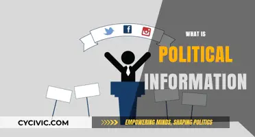 Understanding Political Information: Sources, Impact, and Importance in Democracy