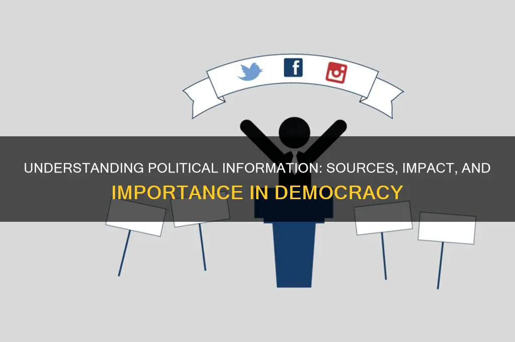 what is political information