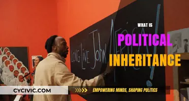 Understanding Political Inheritance: Power, Legacy, and Succession Dynamics Explained