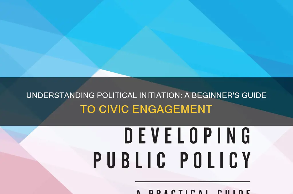 what is political initiation