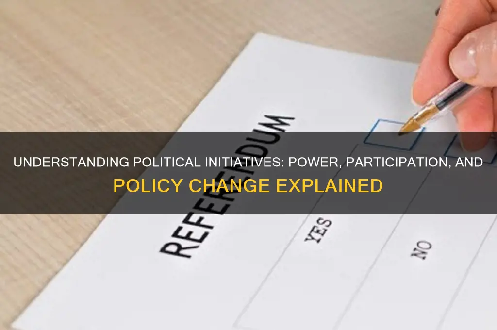 what is political initiative