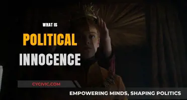Understanding Political Innocence: Navigating Naivety in a Complex Political Landscape