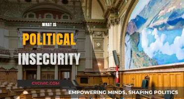 Understanding Political Insecurity: Causes, Impacts, and Global Implications
