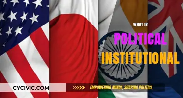 Understanding Political Institutionalization: Foundations, Processes, and Societal Impact
