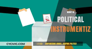 Understanding Political Instrumentalization: Tactics, Impact, and Real-World Examples