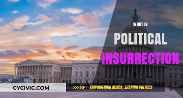 Understanding Political Insurrection: Causes, Consequences, and Historical Context