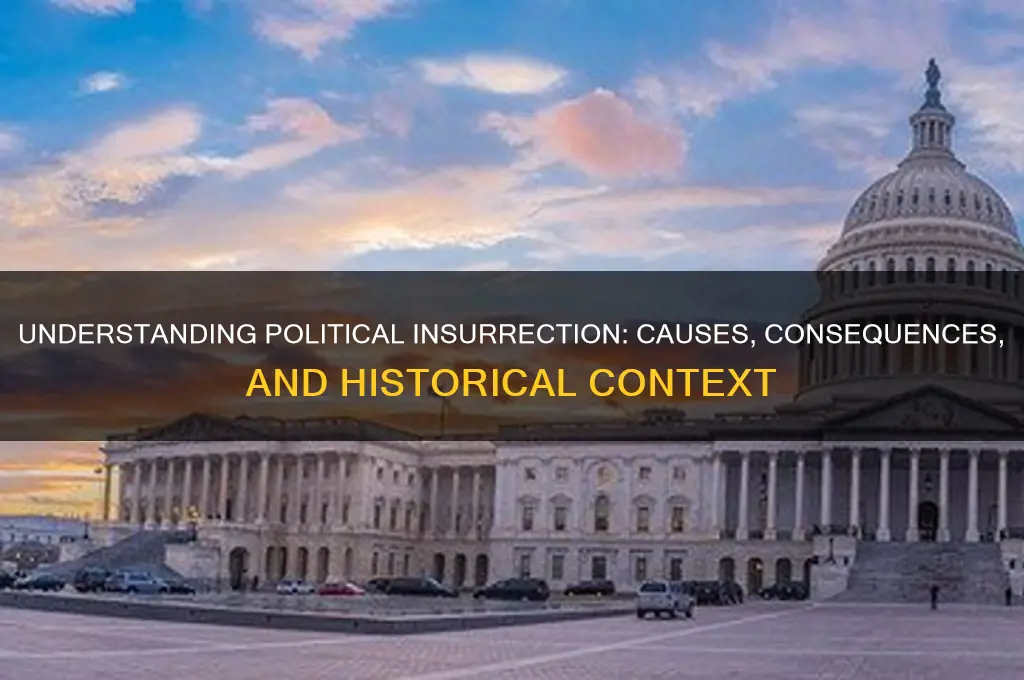 what is political insurrection