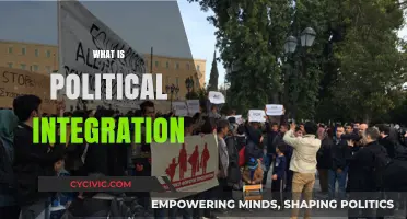 Understanding Political Integration: Uniting Societies, Policies, and Governance Structures