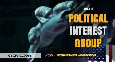 Understanding Political Interest Groups: Power, Influence, and Advocacy Explained