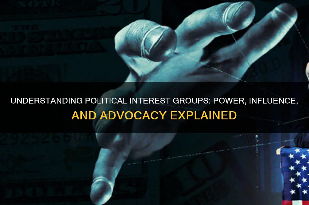 what is political interest group