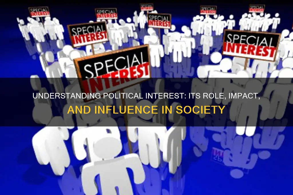 what is political interest