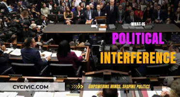 Understanding Political Interference: Impact, Examples, and Global Implications