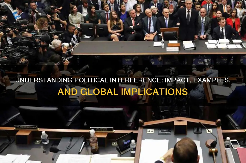 what is political interference