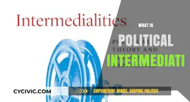 Understanding Political Intermediation: Bridging Gaps Between Citizens and Governments
