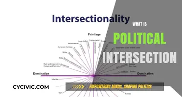 Understanding Political Intersectionality: Identity, Power, and Social Justice Explained