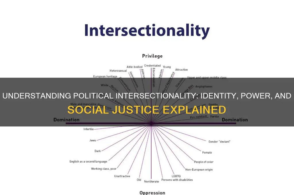what is political intersectionality