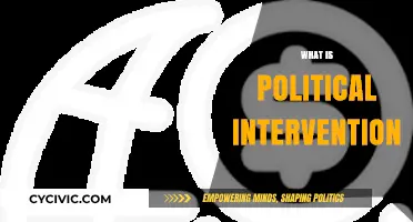 Understanding Political Intervention: Definition, Impact, and Global Implications