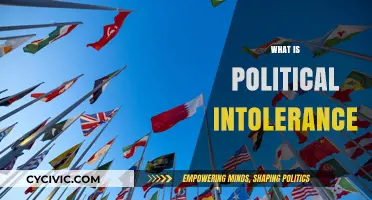 Understanding Political Intolerance: Causes, Consequences, and Paths to Tolerance