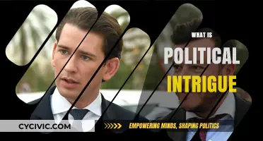 Unveiling Political Intrigue: Power, Manipulation, and Hidden Agendas Explained