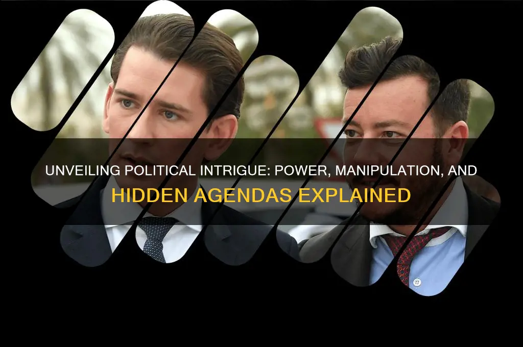 what is political intrigue