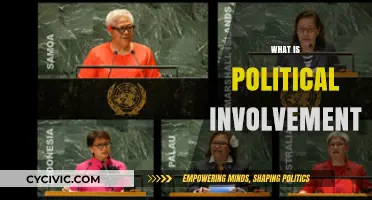 Understanding Political Involvement: Roles, Impact, and Civic Engagement Explained