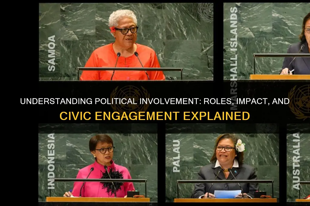 what is political involvement