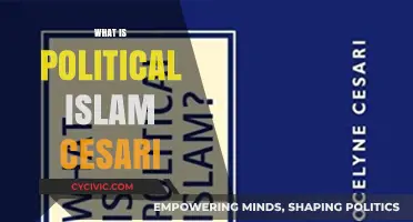 Understanding Political Islam: Exploring Cesari's Insights and Perspectives
