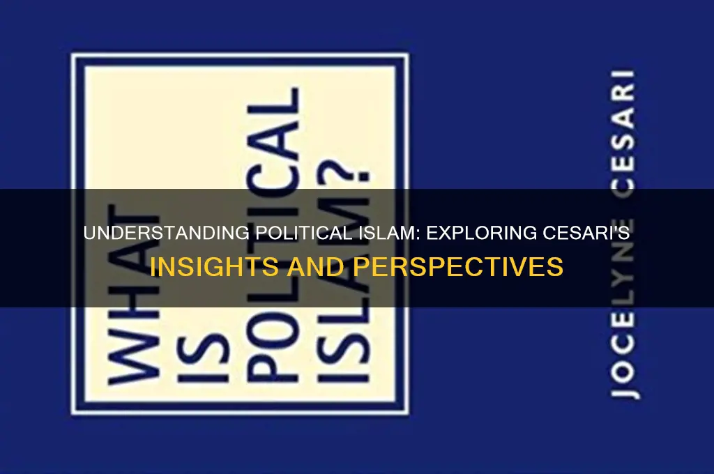 what is political islam cesari