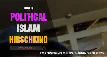 Understanding Political Islam: Hirschkind's Perspective on Religion and Power