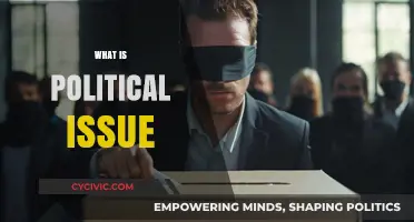Understanding Political Issues: Definitions, Causes, and Real-World Implications