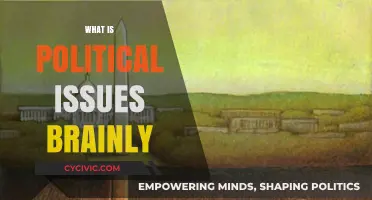 Understanding Political Issues: A Comprehensive Brainly Guide for Learners