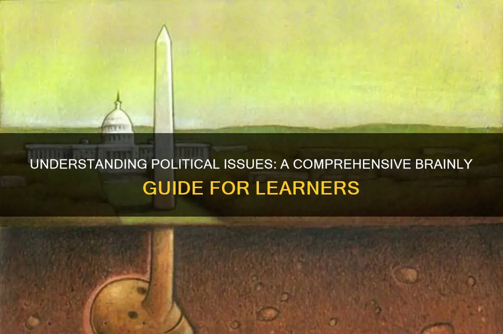 what is political issues brainly