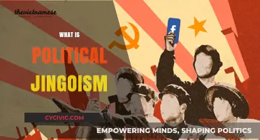 Understanding Political Jingoism: Extreme Nationalism and Its Global Impact