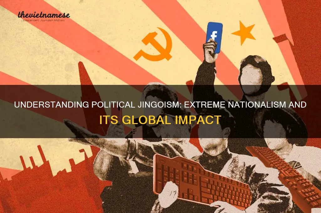 what is political jingoism