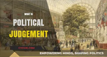 Understanding Political Judgment: Key Concepts, Influences, and Real-World Applications