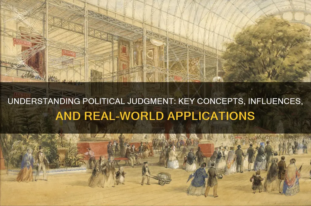 what is political judgement