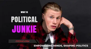 Understanding the Political Junkie: Passion, Obsession, and Civic Engagement Explained