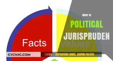 Understanding Political Jurisprudence: Law, Power, and Governance Explained