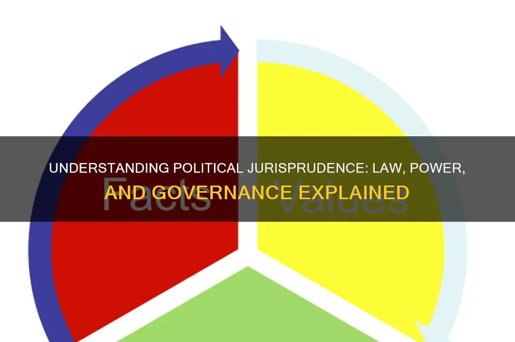 what is political jurisprudence