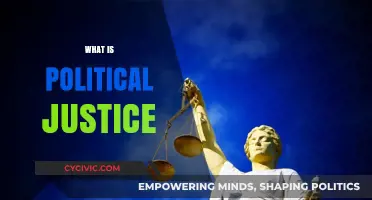 Understanding Political Justice: Principles, Practices, and Societal Impact