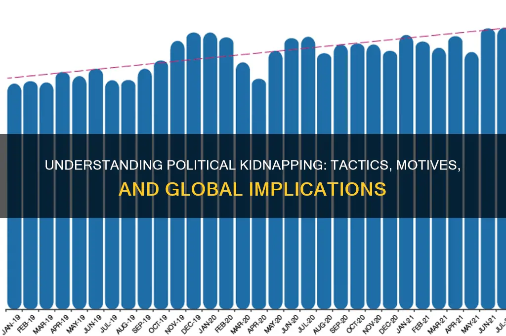 what is political kidnapping
