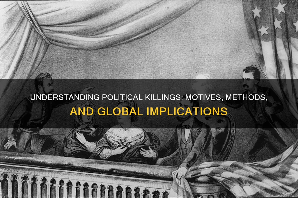 what is political killing