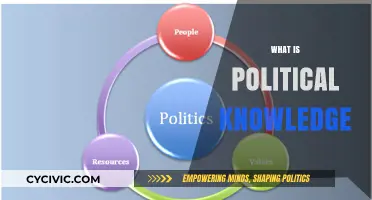 Understanding Political Knowledge: Its Importance, Sources, and Impact on Society