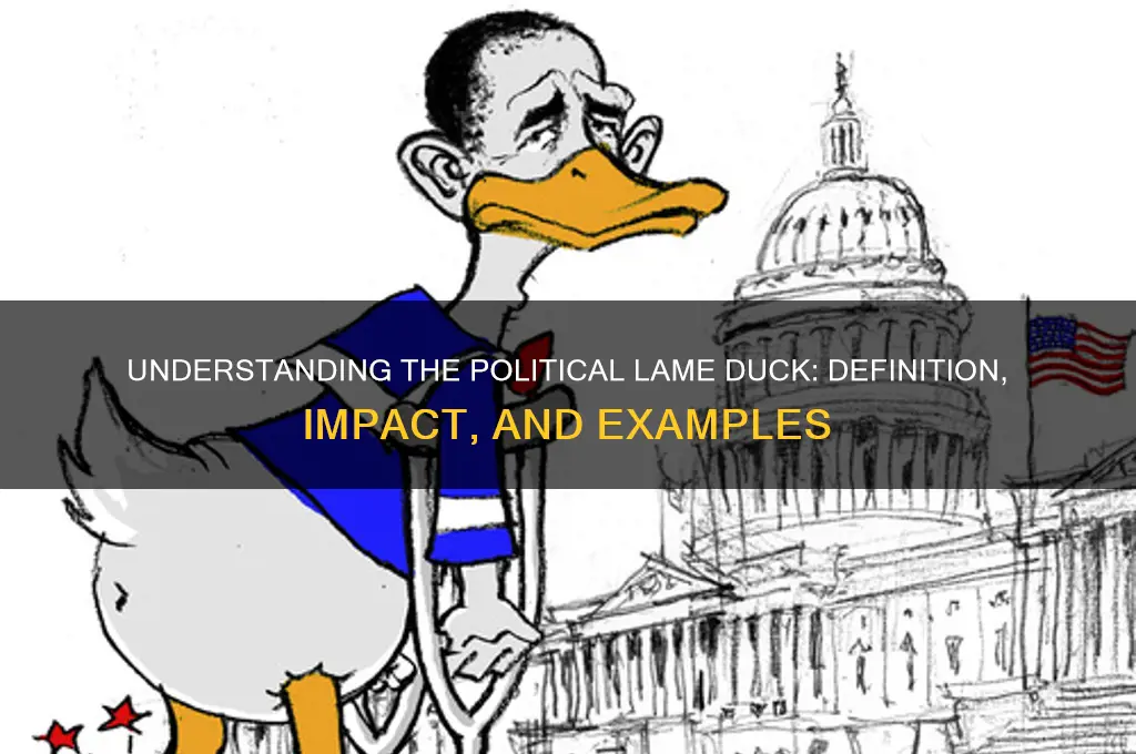 what is political lame duck