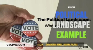 Understanding the Political Landscape: Real-World Examples and Key Insights