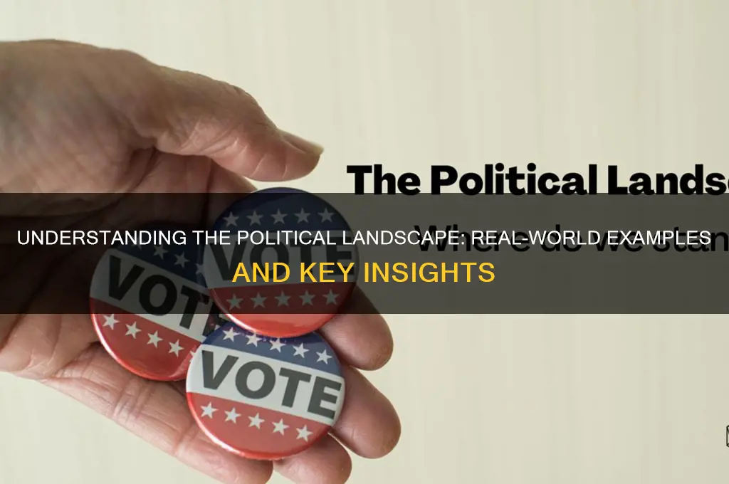 what is political landscape example