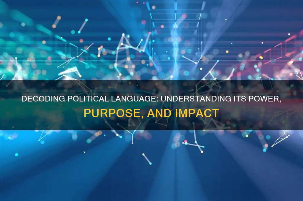 what is political language