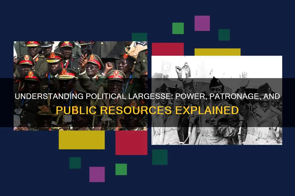 what is political largesse