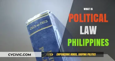 Understanding Political Law in the Philippines: Key Concepts and Applications